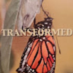 Meet your Posher, Ann